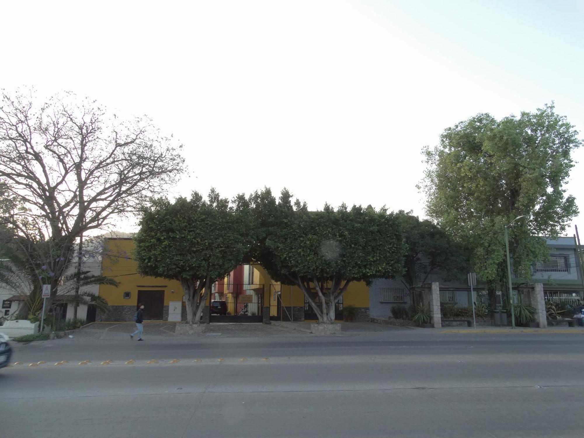 Hotel Camino De Allende سان ميغيل دي الليندي المظهر الخارجي الصورة